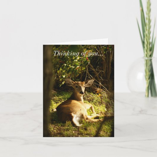 Denken Sie an Ihren jungen Buck auf der Wiese Karte (Vorderseite)