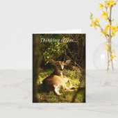 Denken Sie an Ihren jungen Buck auf der Wiese Karte (Gelbe Blume)