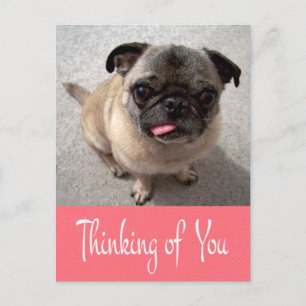 Denken Sie an Ihren Mops Puppy Dog Pink Post Card Postkarte