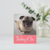 Denken Sie an Ihren Mops Puppy Dog Pink Post Card Postkarte (Stehend Vorderseite)