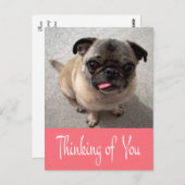 Denken Sie an Ihren Mops Puppy Dog Pink Post Card Postkarte (Vorne/Hinten)