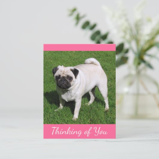 Denken Sie an Ihren Mops Puppy Dog Postkarte (Stehend Vorderseite)