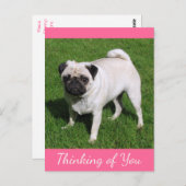 Denken Sie an Ihren Mops Puppy Dog Postkarte (Vorne/Hinten)