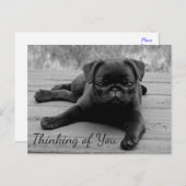 Denken Sie an Ihren Mops Welpen Hund Grußkarte Pos Postkarte (Vorne/Hinten)