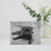 Denken Sie an Ihren Mops Welpen-Hund Postkarte (Stehend Vorderseite)