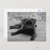 Denken Sie an Ihren Mops Welpen-Hund Postkarte (Vorne/Hinten)