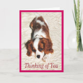 Denken Sie an King Charles Spaniel Puppy Card Karte (Vorderseite)