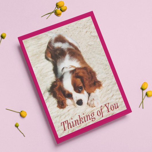 Denken Sie an King Charles Spaniel Puppy Card Karte