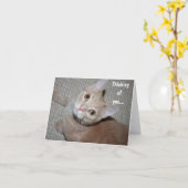 Denken Sie an Kitten Karte (Gelbe Blume)
