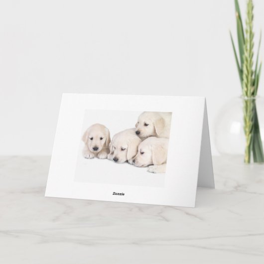 Denken Sie an Labrador Retriever Puppies Card Karte (Rückseite)