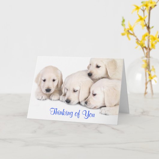 Denken Sie an Labrador Retriever Puppies Card Karte (Gelbe Blume)