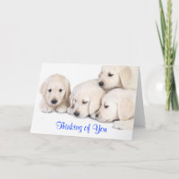 Denken Sie an Labrador Retriever Puppies Card