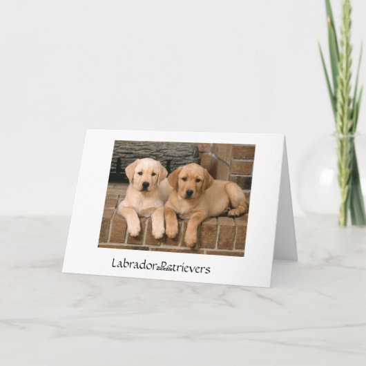 Denken Sie an Labrador Retriever Puppies Card Karte (Rückseite)