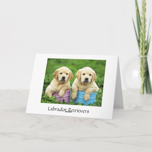 Denken Sie an Labrador Retriever Welpen Card Karte (Rückseite)
