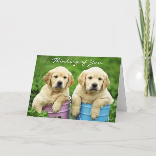 Denken Sie an Labrador Retriever Welpen Card Karte (Vorderseite)