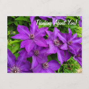 Denken Sie an Lila Clematis Floral Postkarte