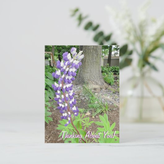 Denken Sie an Lila Lupine Floral Postkarte (Stehend Vorderseite)