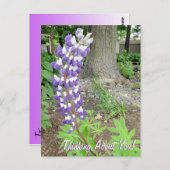 Denken Sie an Lila Lupine Floral Postkarte (Vorne/Hinten)