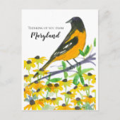 Denken Sie an Maryland Baltimore Oriole Postkarte (Vorderseite)