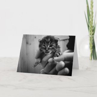 Denken Sie an Mew! Karte