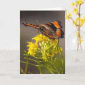 Denken Sie an Milberts Tortoiseshell Butterfly Karte (Gelbe Blume)