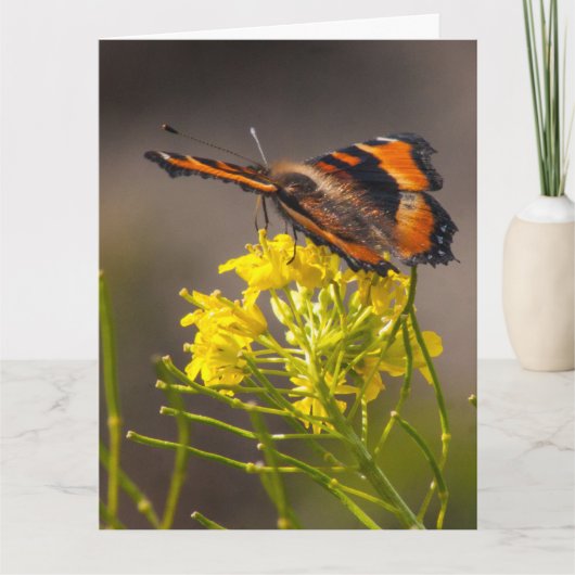 Denken Sie an Milberts Tortoiseshell-Schmetterling Karte (Vorderseite)