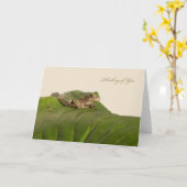 Denken Sie an Missouri Tree Frog Karte (Gelbe Blume)