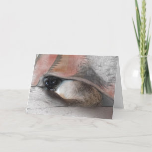 Denken Sie an Niedliche Siamesen und unbedachte Sk Karte