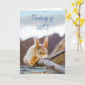 Denken Sie an Nüsse und Sie natürlich mit Eichhörn Karte (Gelbe Blume)
