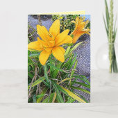 Denken Sie an Orange Lily und Bud Foto Vorlage (Vorderseite)