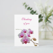 Denken Sie an Orchids - Phalaenopsis Postkarte (Stehend Vorderseite)