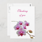 Denken Sie an Orchids - Phalaenopsis Postkarte (Vorne/Hinten)