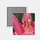 Denken Sie an Pink Lily Magnet (Vorderseite/Rückseite)