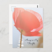 Denken Sie an Red Poppy bei Sonnenaufgang Postkarte (Vorne/Hinten)