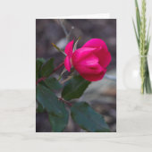 Denken Sie an rosa Rose Foto-Vorlage Karte (Vorderseite)