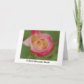 Denken Sie an Rosa Rose Karte (Rückseite)