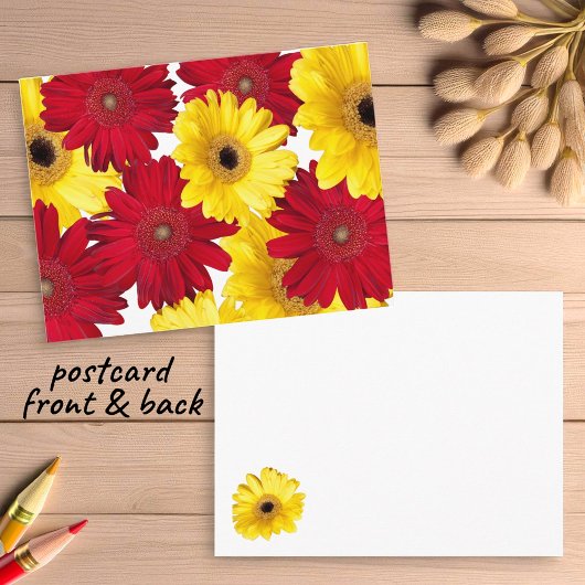 Denken Sie an Rot und Gelb Gerber Daisies Postkarte