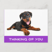 Denken Sie an Rottweiler Puppy Dog Postkarte