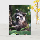 Denken Sie an schnelle Erholung Raccoon Tier Karte (Gelbe Blume)
