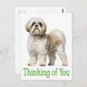 Denken Sie an Shih Tzu Puppy Dog Postkarte (Vorne/Hinten)