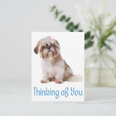 Denken Sie an Shih Tzu Puppy Dog Postkarte (Stehend Vorderseite)