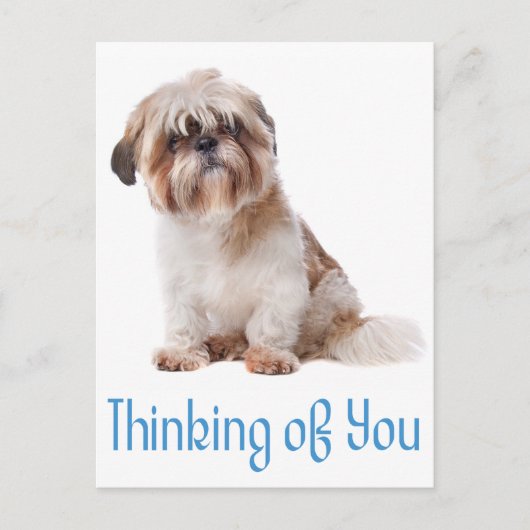 Denken Sie an Shih Tzu Puppy Dog Postkarte (Vorderseite)