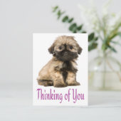 Denken Sie an Shih Tzu Puppy Dog Postkarte (Stehend Vorderseite)