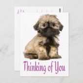 Denken Sie an Shih Tzu Puppy Dog Postkarte (Vorne/Hinten)