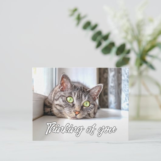 Denken Sie an Sie - Adorable Kitty Cat Postkarte (Stehend Vorderseite)