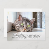 Denken Sie an Sie - Adorable Kitty Cat Postkarte (Vorne/Hinten)