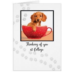 Denken Sie an Sie an Uni Niedlich Dachsund Dog