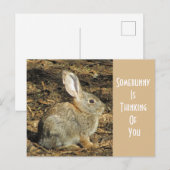 Denken Sie an Sie bezauberndes Wild Brown Bunny Postkarte (Vorne/Hinten)