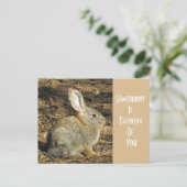 Denken Sie an Sie bezauberndes Wild Brown Bunny Postkarte (Stehend Vorderseite)