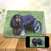 Denken Sie an Sie Cavalier King Charles Behinderun Karte